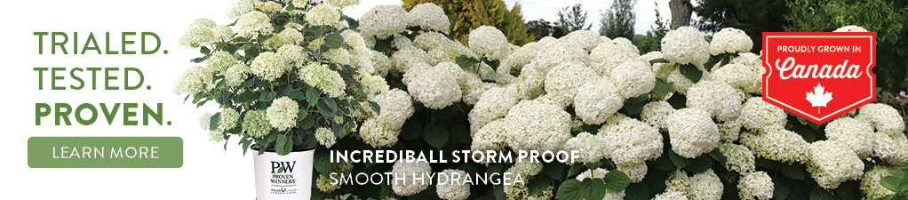 Proven Winners 1022x225