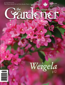 2019 spring cover image