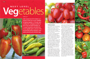 Next Level Vegetables