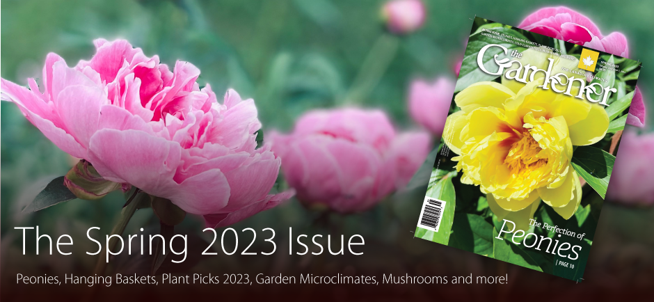 Gardener Spring2022