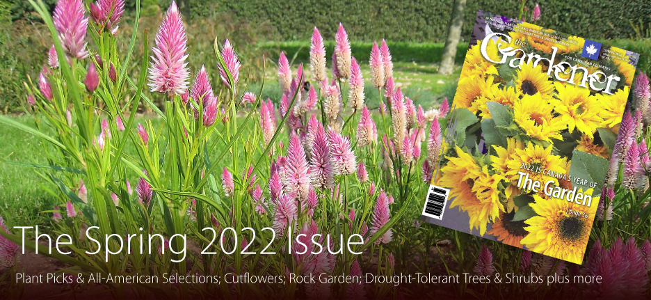 Gardener Spring2022