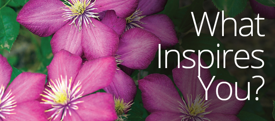 what inspires you banner with purple flowers